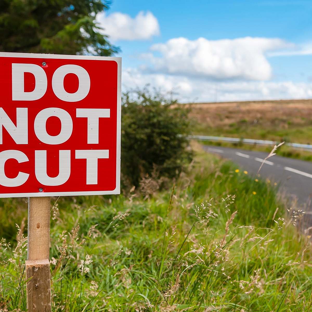 Ss sign on a rural grass verge indicating that the grass should not be cut due to rare plants growing on it