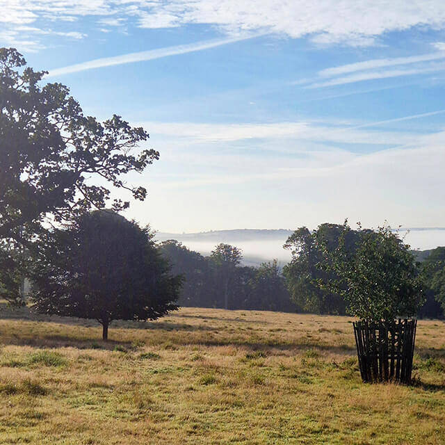 April 26 homepage 640x640