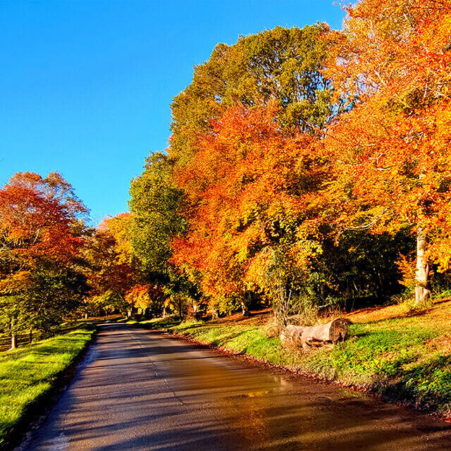 November 2025 calendar 640pxw