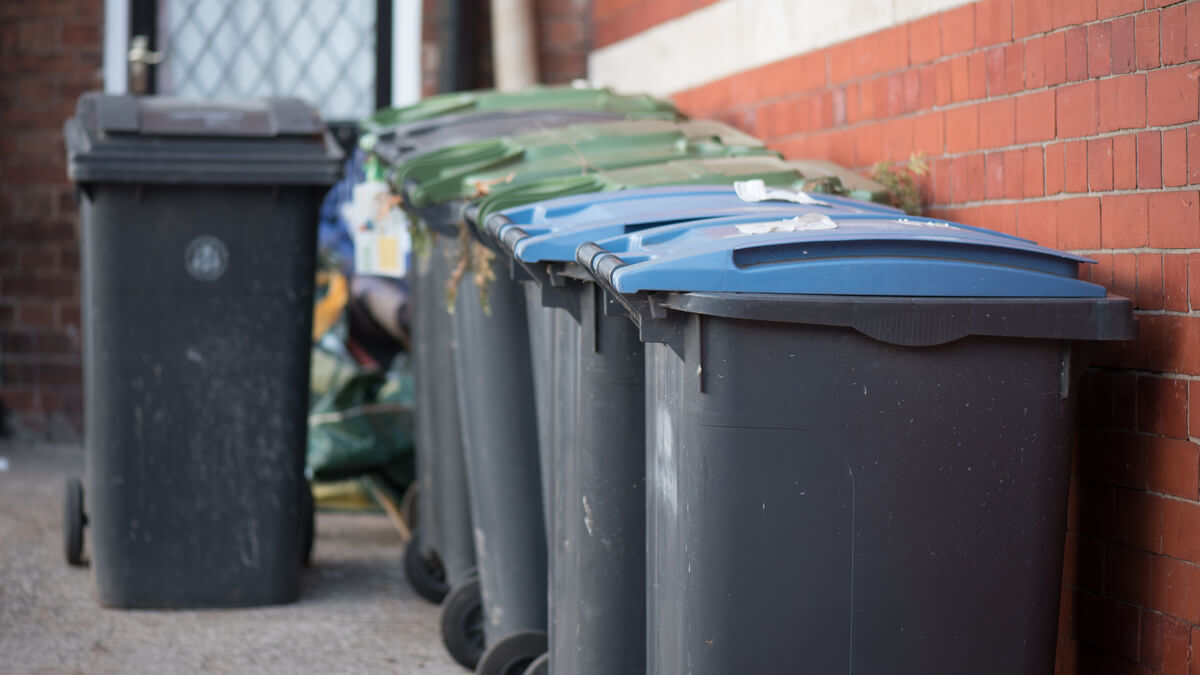 Row of wheelie refuse bins