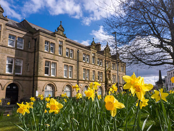 Blackburn with daffodils 540x720