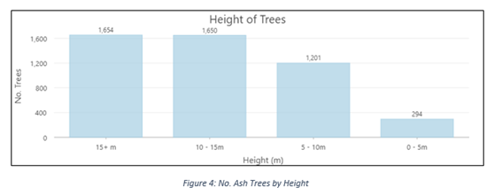 Number of Ash trees by height