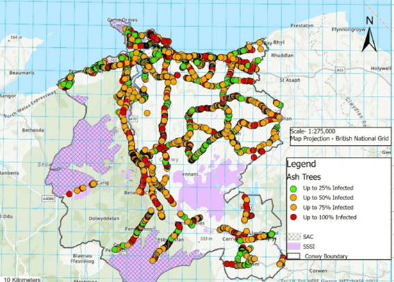 Heat map ranking risk of Ash die back