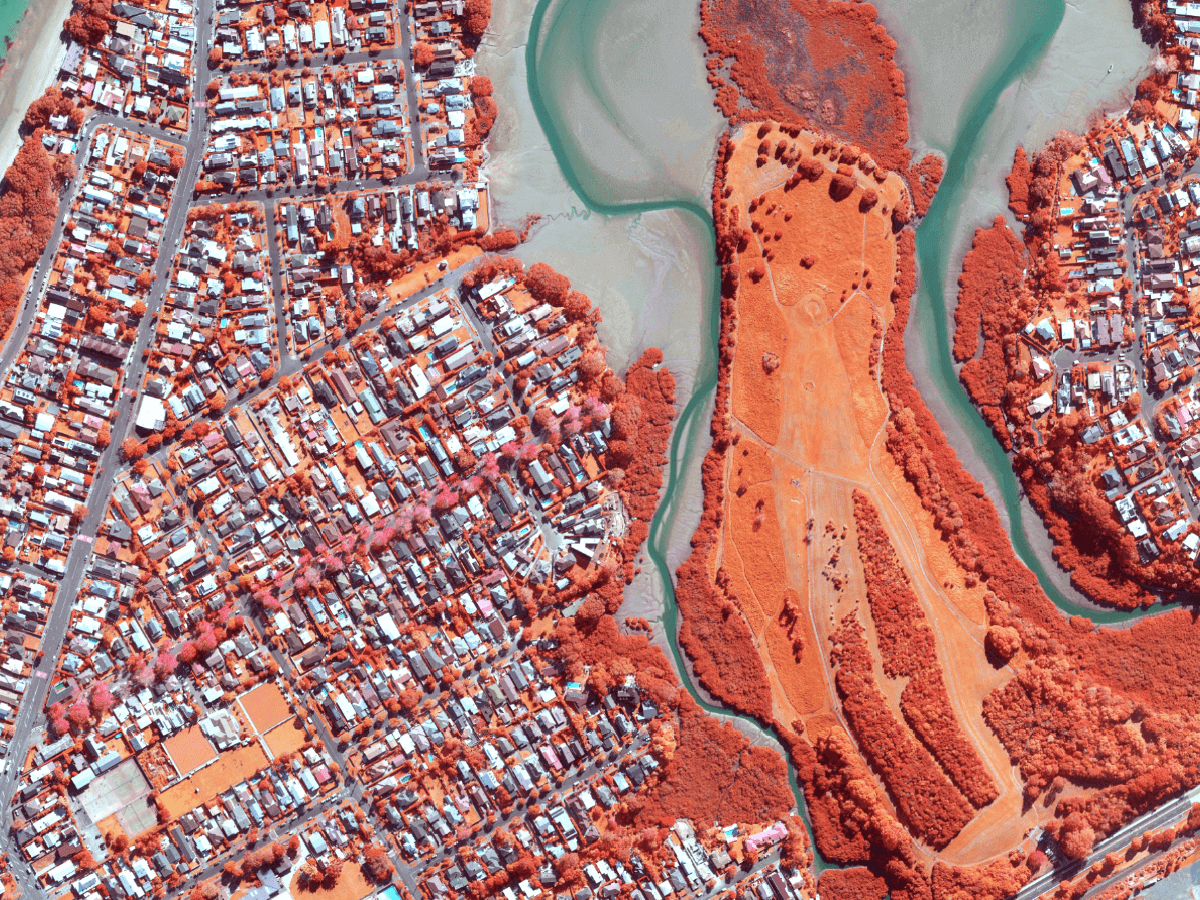 Auckland suburbs colour infrared 2024 2025 1200x900