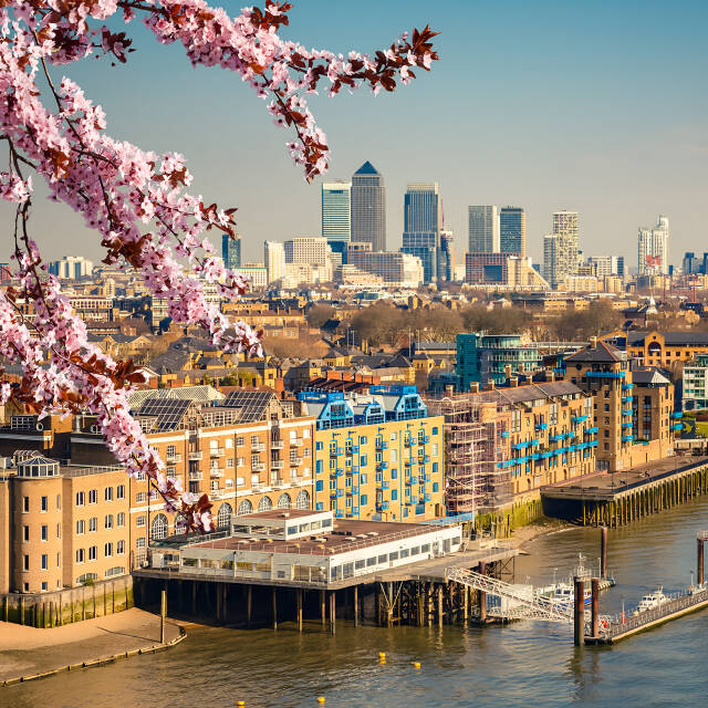 Geo HP Vid Image Mobile