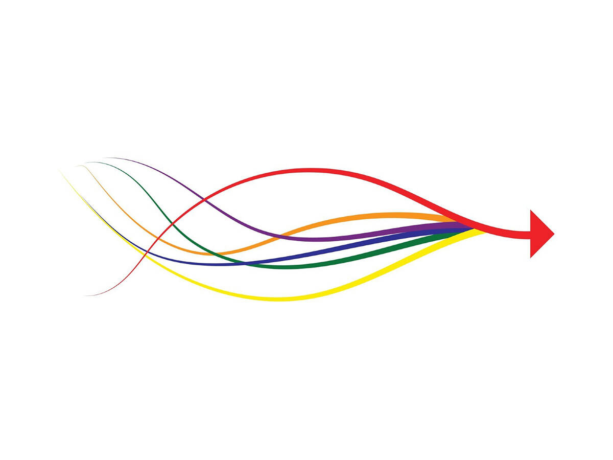 Local government reorganisation feature