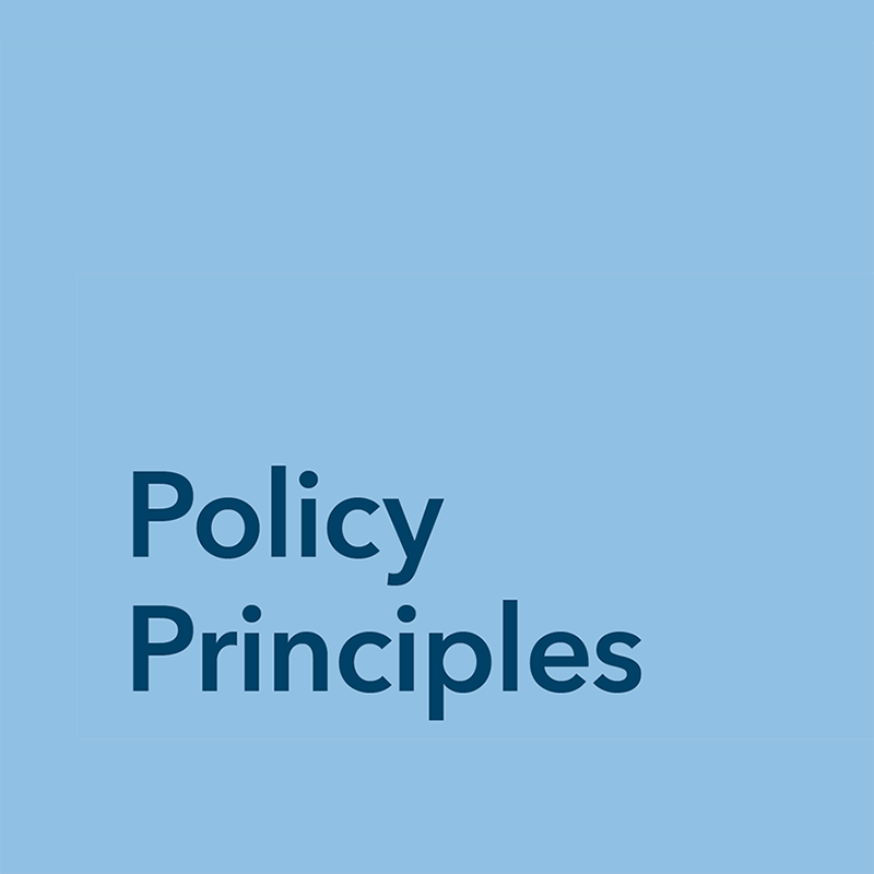 Policy principles download 800