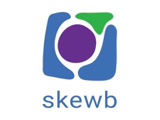 Skewb logo 320x240
