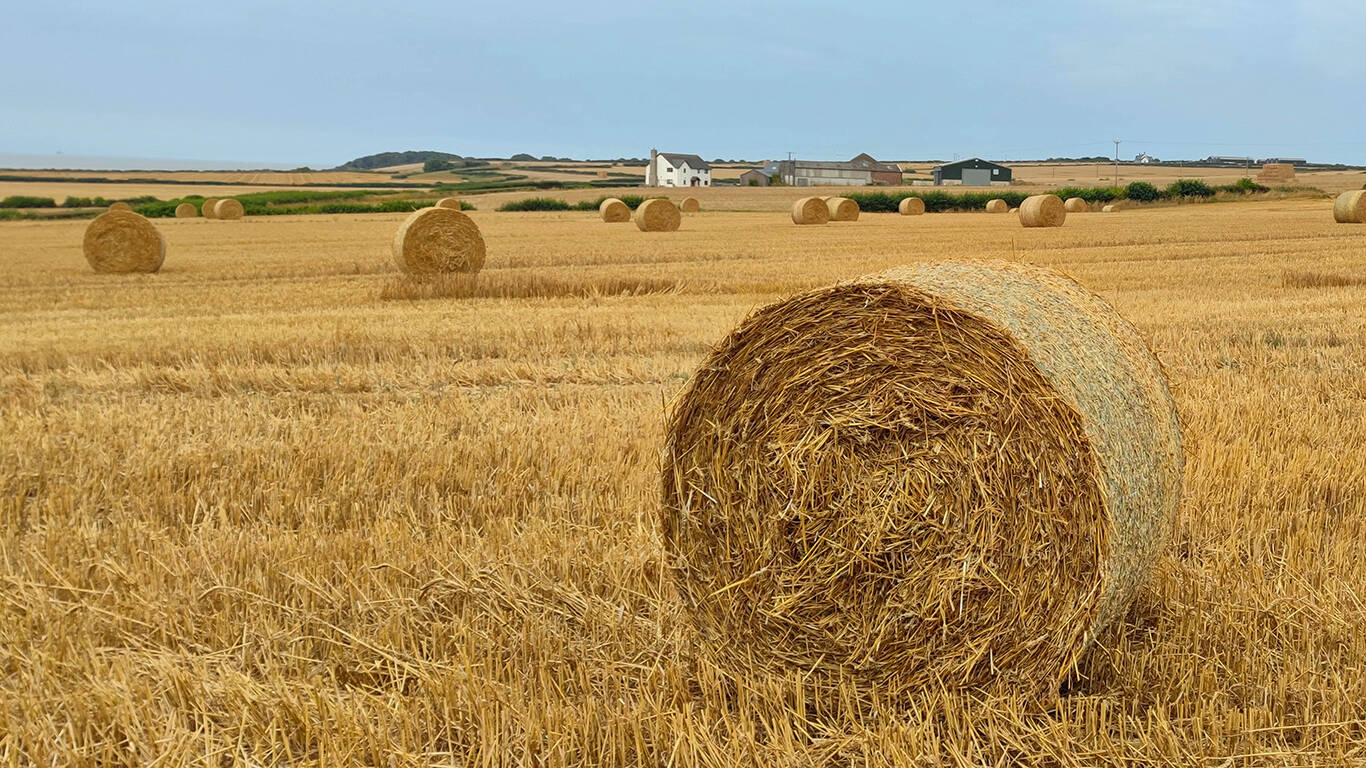 GEOPLACE 2026 1366x768px 08 empty